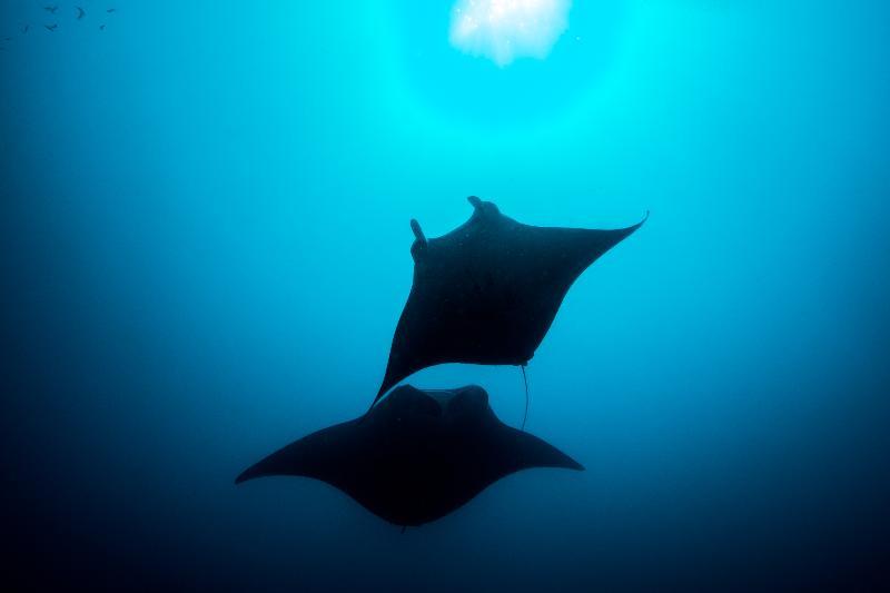 You And Me By Cocoon Maldives Muravandhoo Eksteriør billede